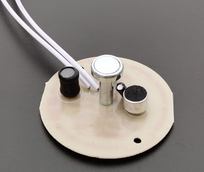 PCBA mit 10 LEDs und USB-Anschluss für Sprach- und Lichtsensoren